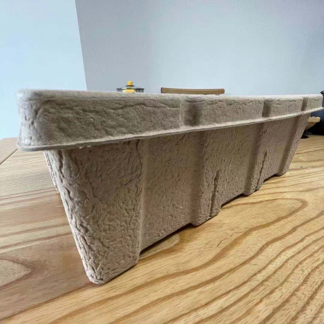 China Factory Custom logo Biodegradable Shoe Box Pulp Molded Disposable Material Recycled and Recyclable