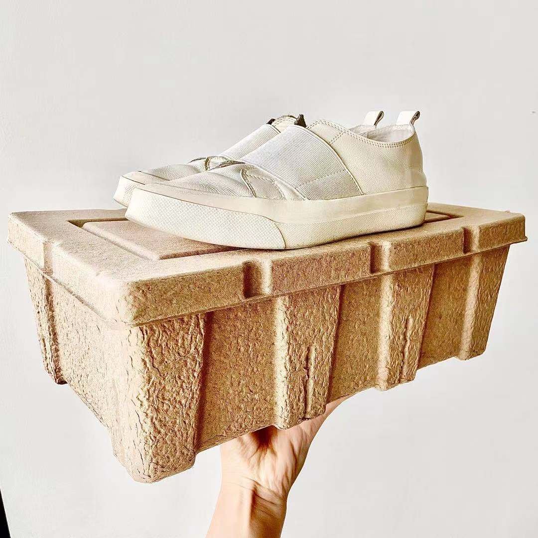 China Factory Custom logo Biodegradable Shoe Box Pulp Molded Disposable Material Recycled and Recyclable