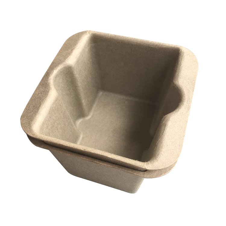 Biodegradable paper pulp trays wholesale luxury paper gift strap packaging watch box tray