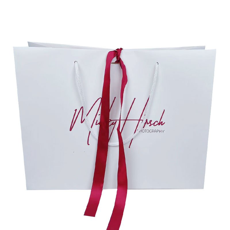 Luxury Free Sample Customized Logo Design CMYK Printing Gift Packaging Art Paper Bag With Red Bowknot