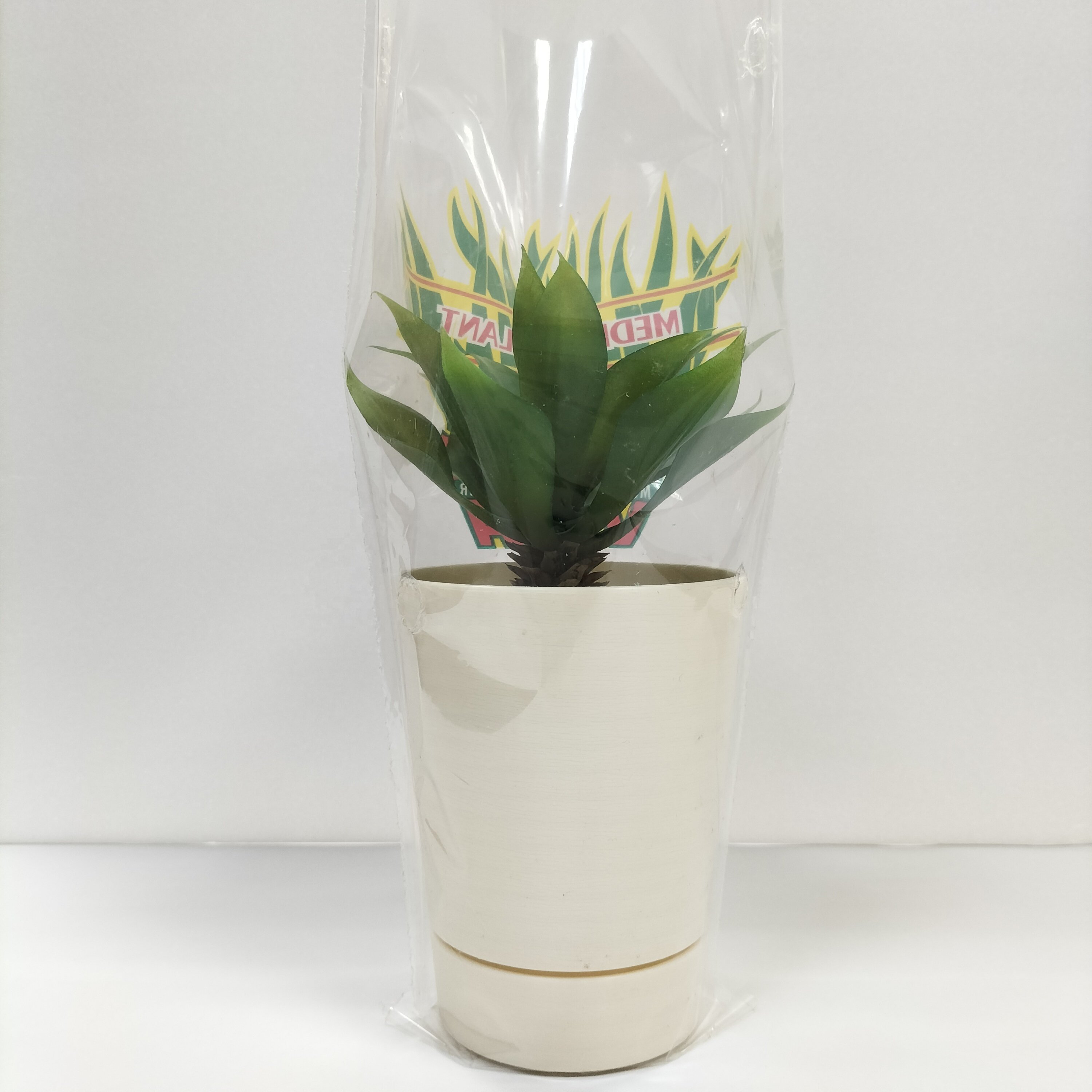 Factory premium biodegradable custom print nursery flower wrapping sleeves pot cover for herbs vegetable flower plants packaging