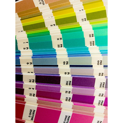 customize