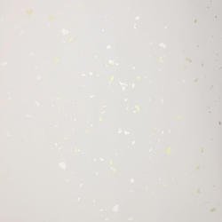 SP024-1
