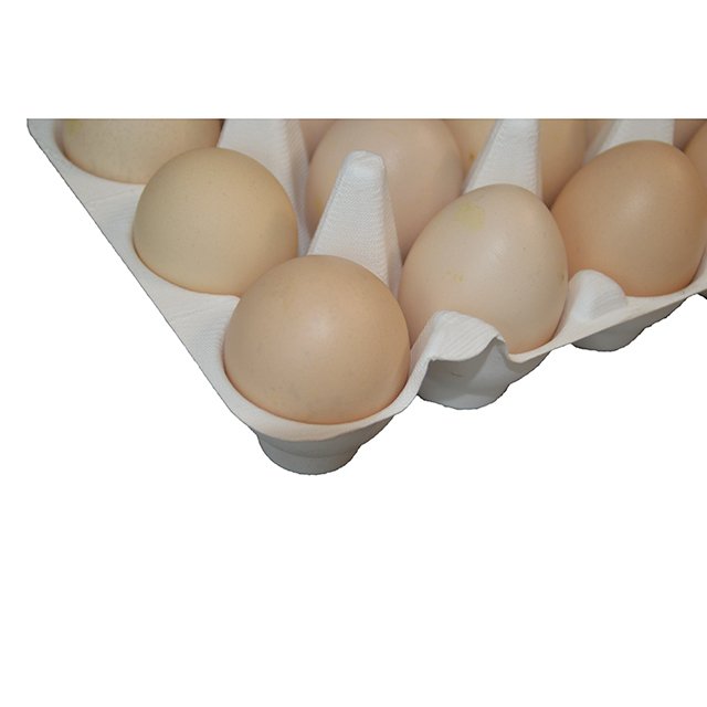 Hot Sale Eco-Friendly Biodegradable Recyclable Egg Cartons Custom Printed Disposable Paper Egg Tray Made Bagasse Sugarcane Food