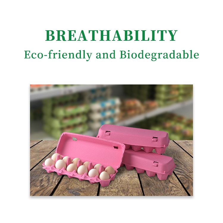 biodegradable pulp molded pulp egg carton packaging paper egg box egg cartons tray