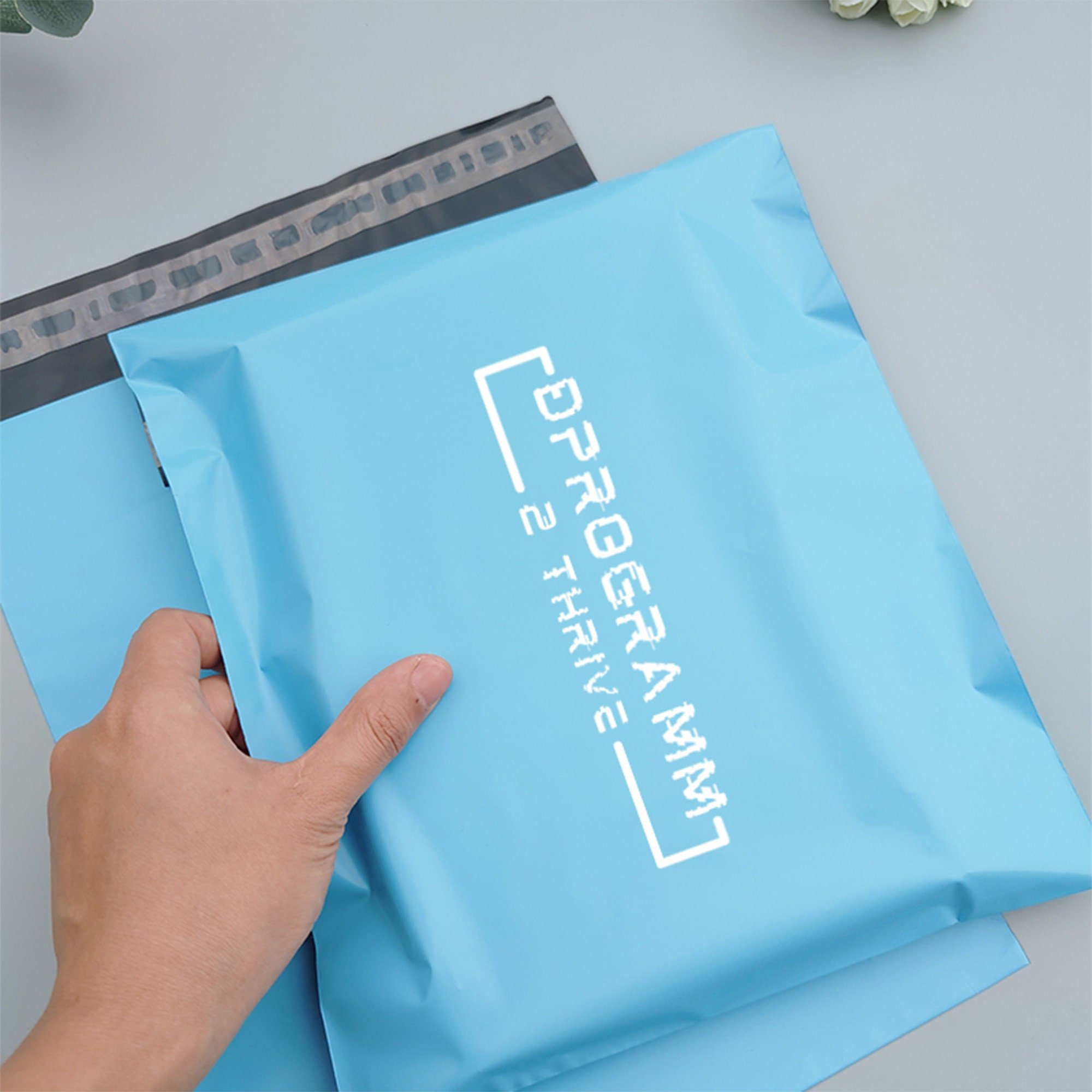 Custom Logo Eco Friendly Blue Pastel Flat Poly Self Sealing Express Shipping Pink Design Clothes Delivery Mail Bags