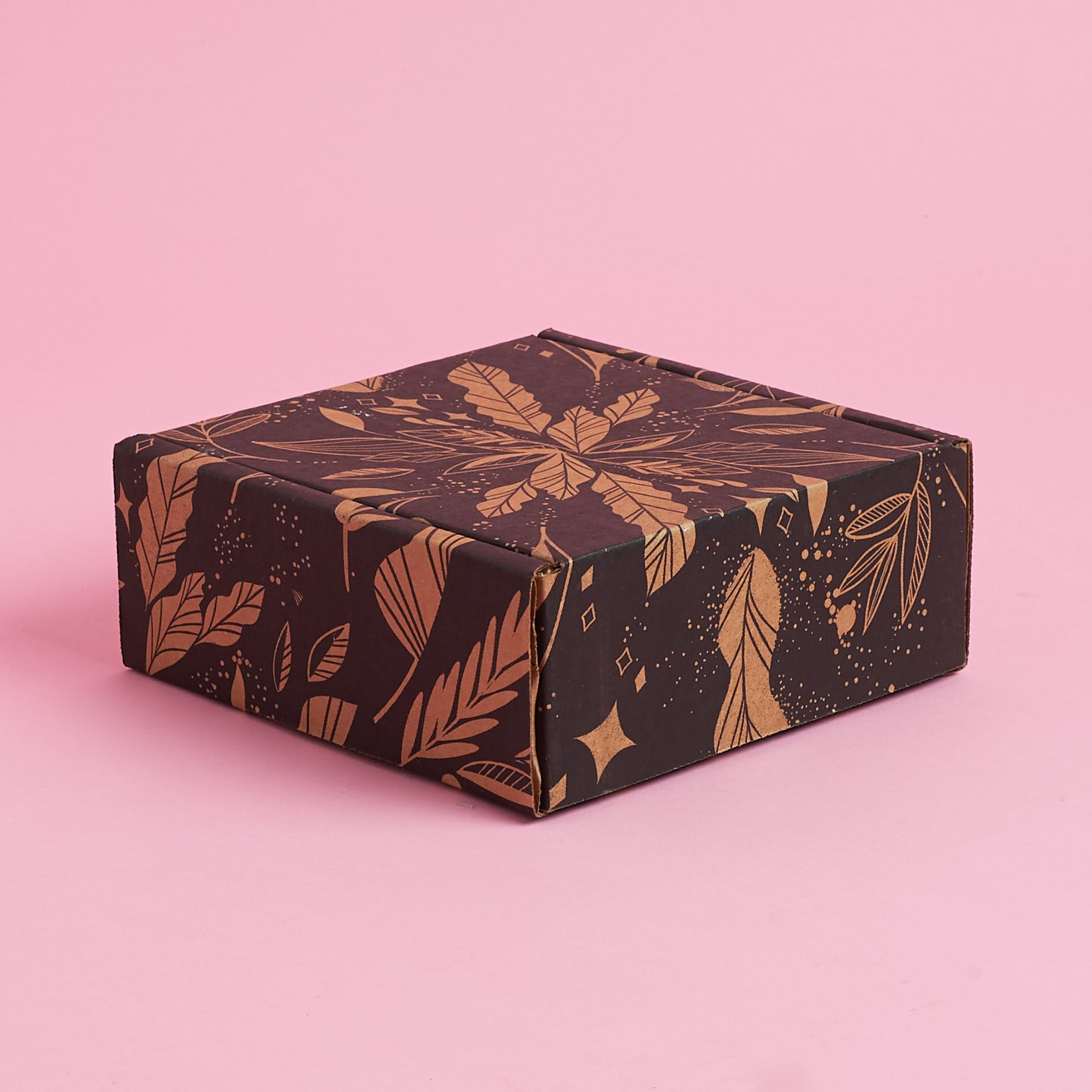 Custom Logo Shipping Corrugated Paper Mailer Box for Pets Accessories Fancy Cardboard Packaging Boxes for Pets Products