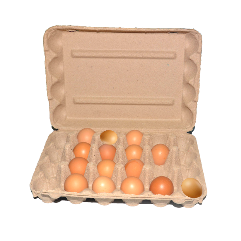 Biodegradable compostable 2 6 12 15 30 cells egg packaging box paper egg cartons pulp egg carton with clamshell lid