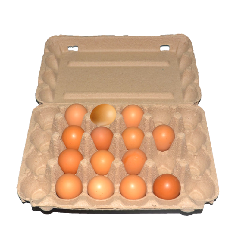 Biodegradable compostable 2 6 12 15 30 cells egg packaging box paper egg cartons pulp egg carton with clamshell lid