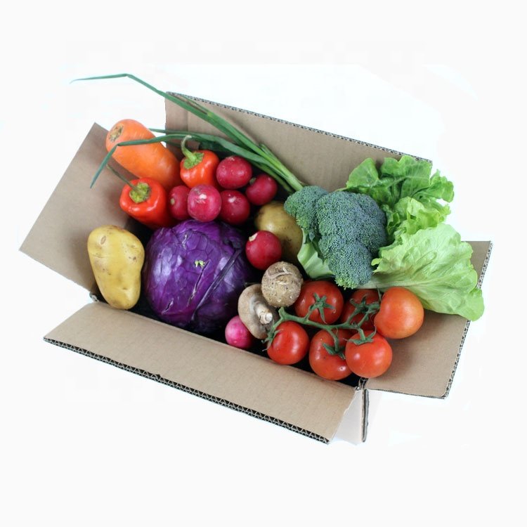 RSC 0201 Eco Friendly Paper Board Corrugated Board Box Customized Foldable Grocery Box with Logo Kraft Mailer Packaging Brown