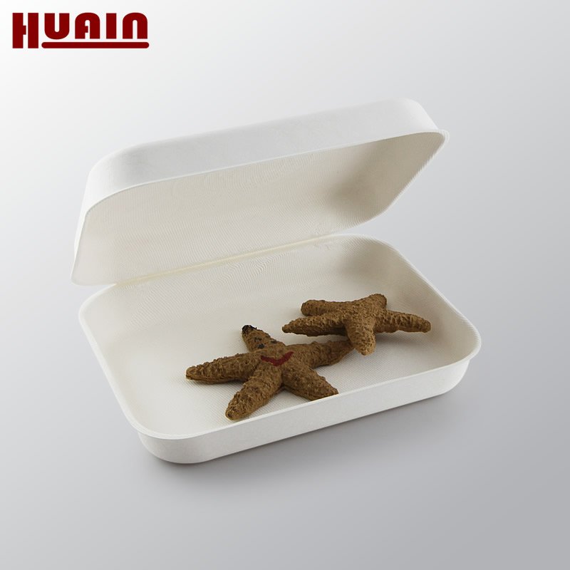 Biodegradable Disposable Clamshell Packaging White Color Recycled Paper Pulp Tray Sugarcane Box