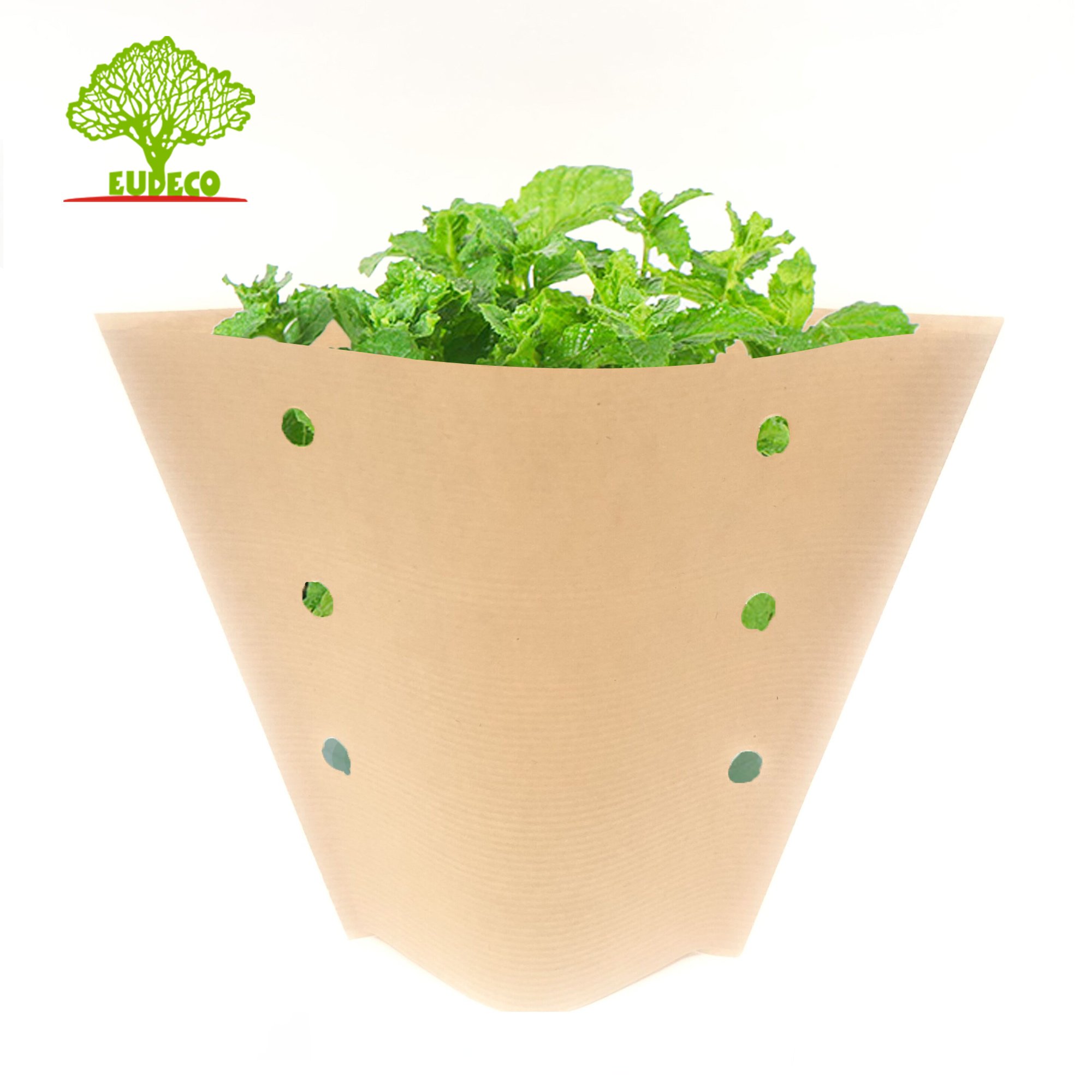 Waterproof Sleeves of Fresh Herb Packaging for Hydroponic Living Basil and Root Ball Lettuce Vegetable Packing Bag