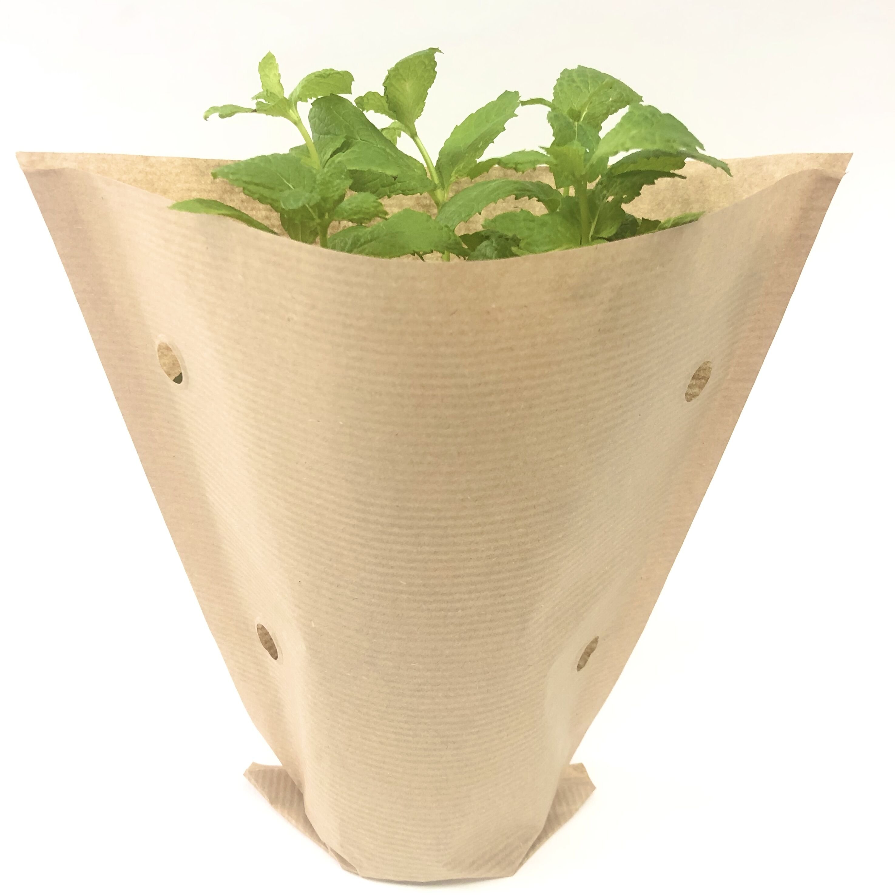 Waterproof Sleeves of Fresh Herb Packaging for Hydroponic Living Basil and Root Ball Lettuce Vegetable Packing Bag