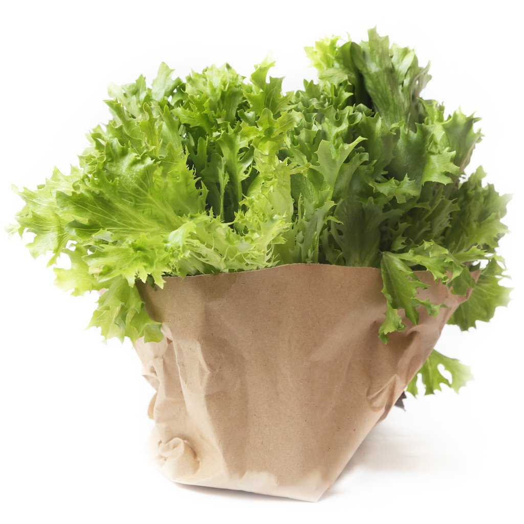 Waterproof Sleeves of Fresh Herb Packaging for Hydroponic Living Basil and Root Ball Lettuce Vegetable Packing Bag