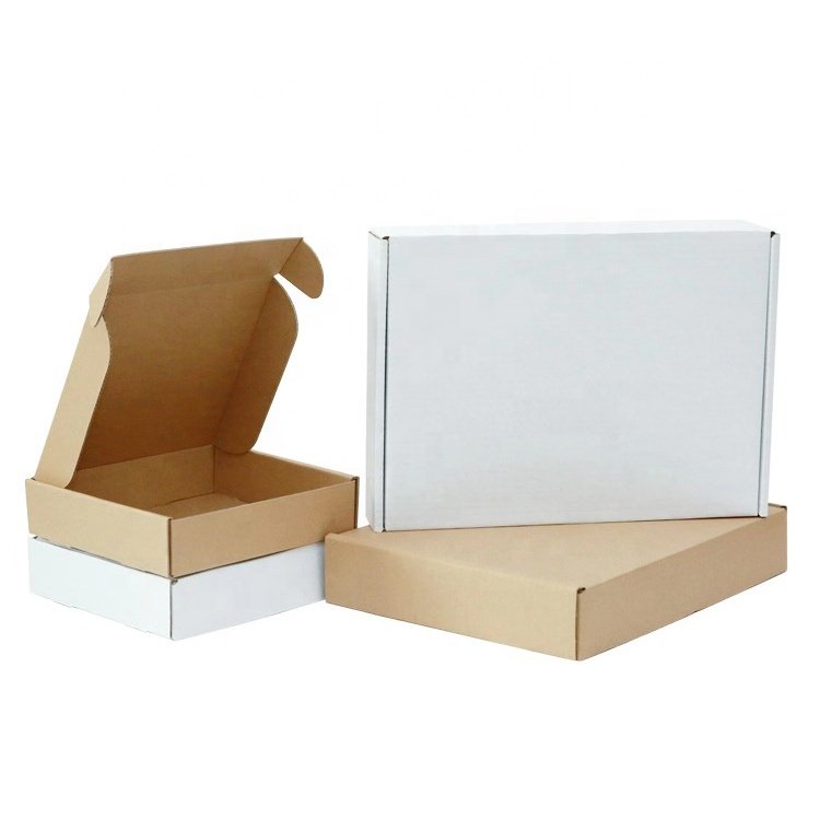 Express shipping box and Packaging Paper Box Pantone Custom Oem Customized Logo Item Industrial Packing Color