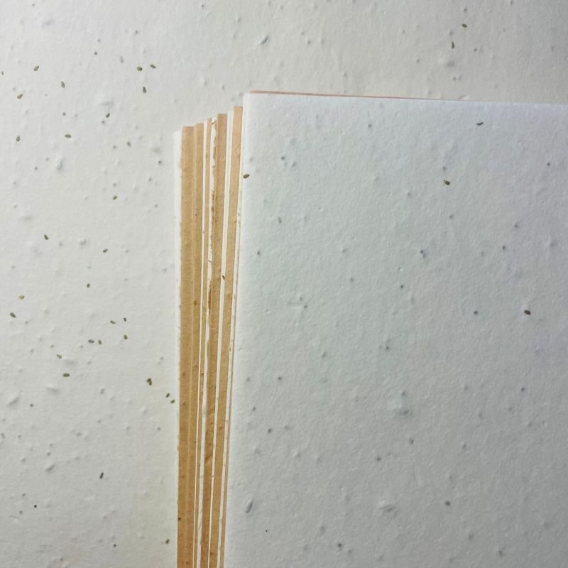 Eco friendly Custom Seed a4 Paper Hang Tag Thank you Christmas flower seed paper packaging cards