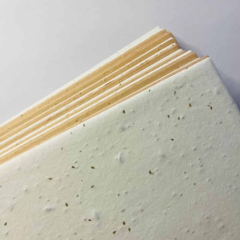 Eco friendly Custom Seed a4 Paper Hang Tag Thank you Christmas flower seed paper packaging cards
