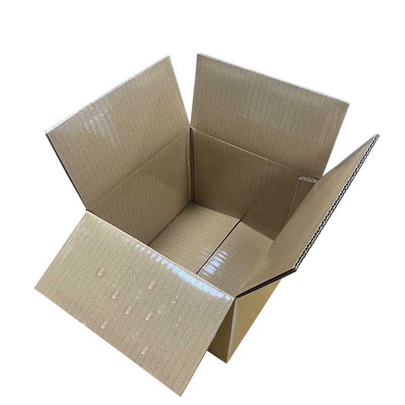 Custom Cardboard Carton Boxes Cold Shipping Frozen Food Cooler Food Packaging Box with Handle Fruit Frozen Food