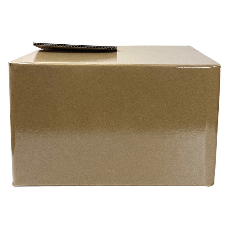 Custom Cardboard Carton Boxes Cold Shipping Frozen Food Cooler Food Packaging Box with Handle Fruit Frozen Food