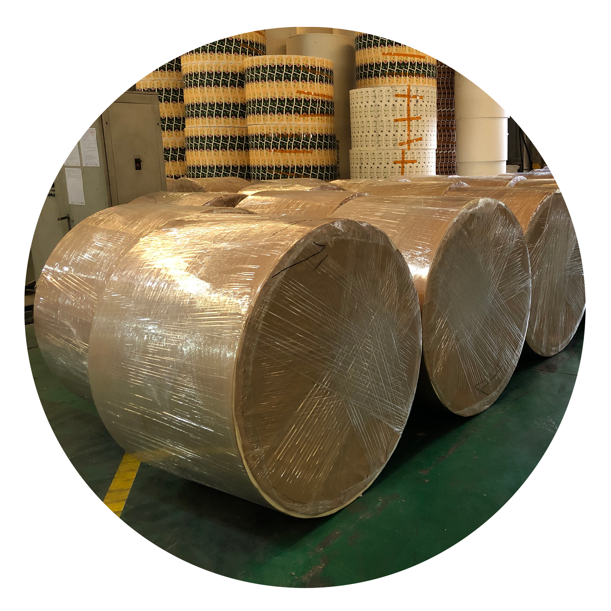 paper kraft High Quality Oem White Kraft Brown 80-320Gsm Printed White Kraft Paper Roll for custom printed paper bread bags