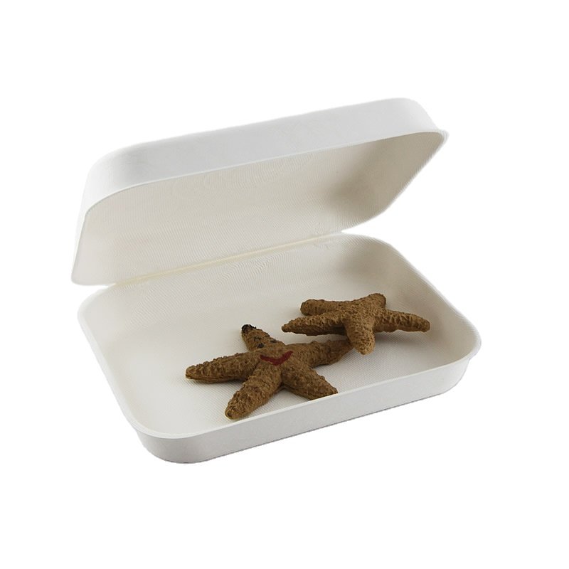 Bagasse Pup Paper Watch Box Eco Friendly Fiber Packaging