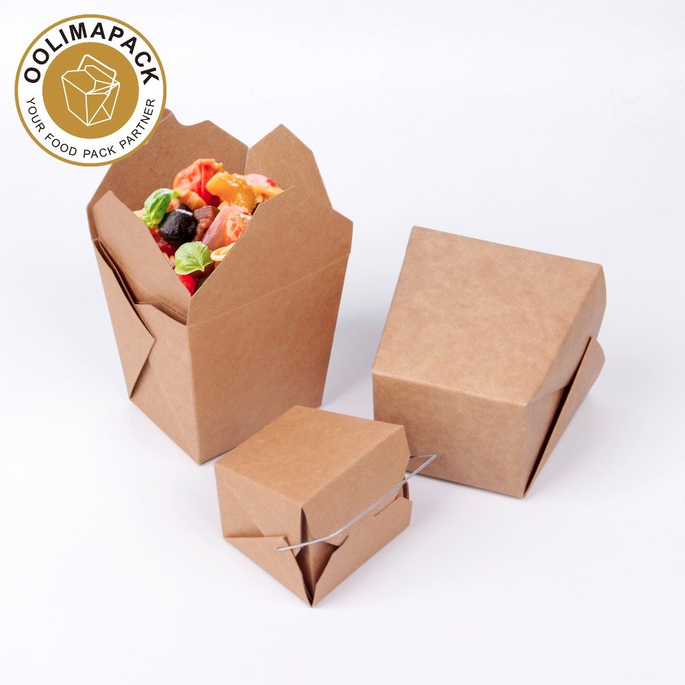 16oz Paper Noodle Box,Disposable Chinese Take Out Box with Handle