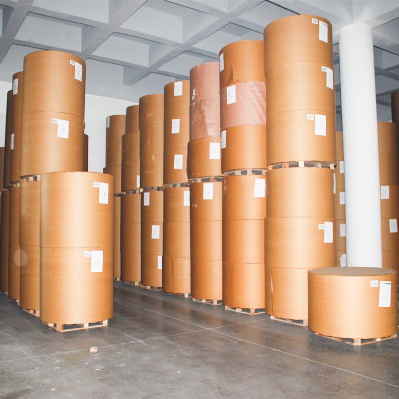 300gsm cardboard Coated paper in sheets or Roll