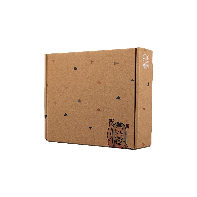 Colorful Wholesale Cardboard Carton Custom Logo Packaging Paper box for Dress Clothes Mailing Shipping Box