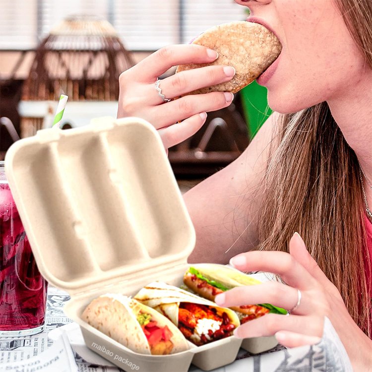 Biodegradable Sugarcane Clamshell Box Takeout Food Packaging Bagasse Taco Box Disposable Pulp 3-Compartment Taco Holder With Lid