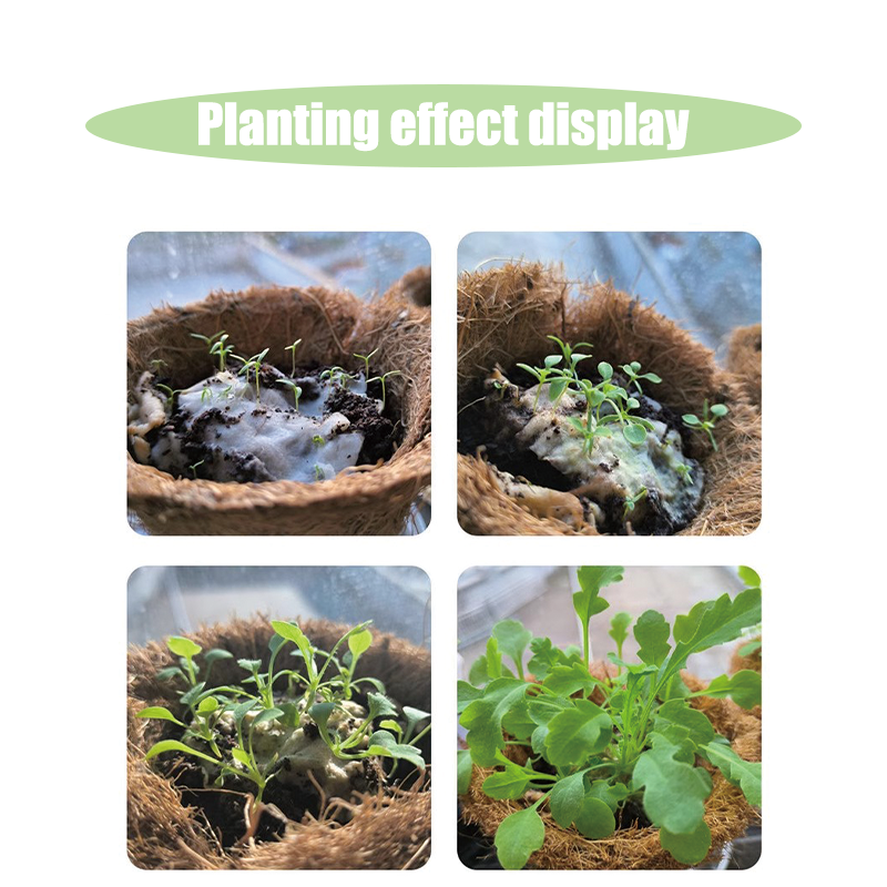 Factory Custom Eco protection Seed Plantable Paper For Business Cards Packaging Cards Gift cards Postcards