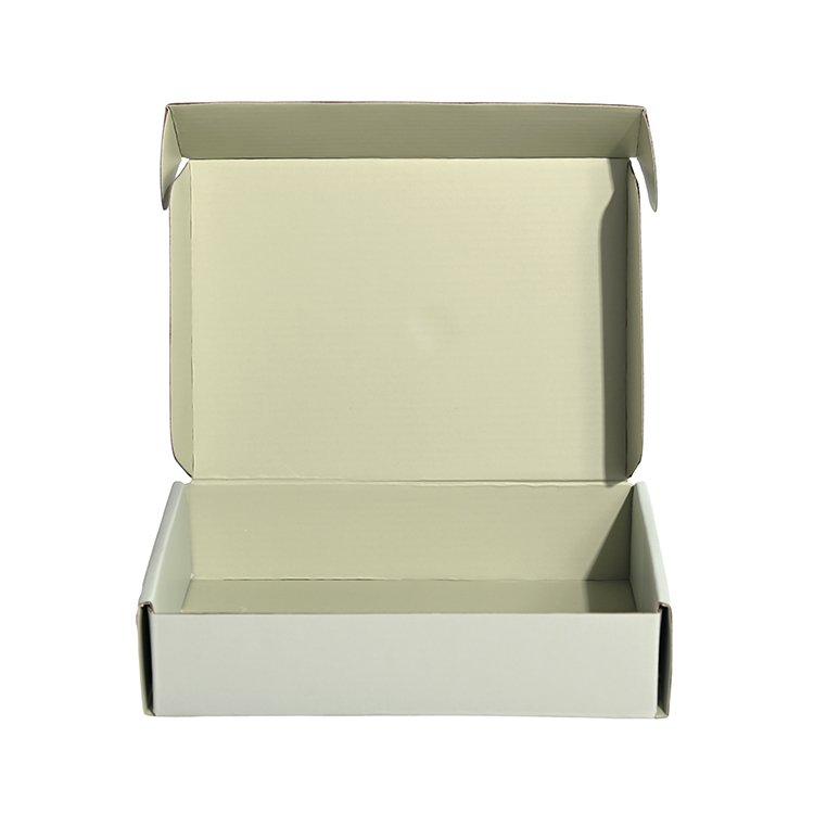 Echo-Friendly Custom Logo Printed Cosmetic Shipping Box Skincare Mailer Packaging Box