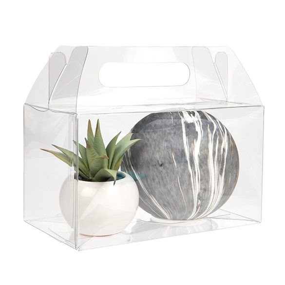 Low shipping cost plastic gift box toy plant packaging boxes clear gable box with handle