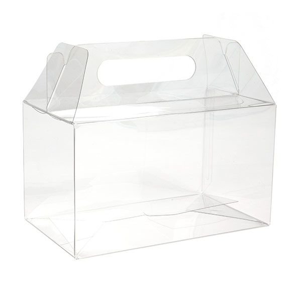Low shipping cost plastic gift box toy plant packaging boxes clear gable box with handle