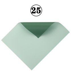 25