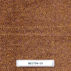 M21736-10