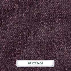 M21736-6