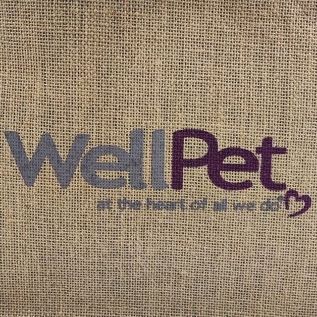 Natural Coating Lamination Burlap Custom Logo Color Eco Friendly Grocery Tote Bags Reusable Jute Gift Packing Shopping Bag