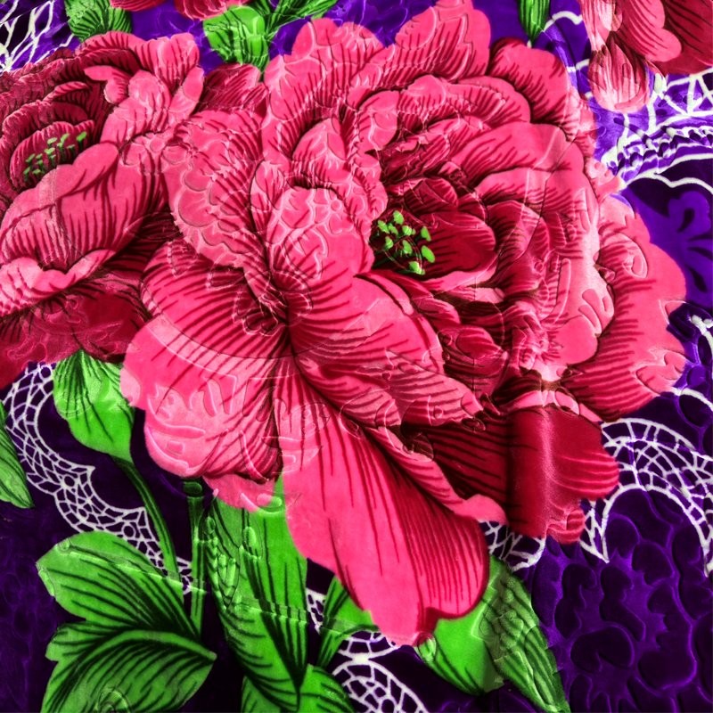 Wholesale Hot Sale Thick 100% Polyester Printing and Embossing Raschel Blanket Fabric for Winter