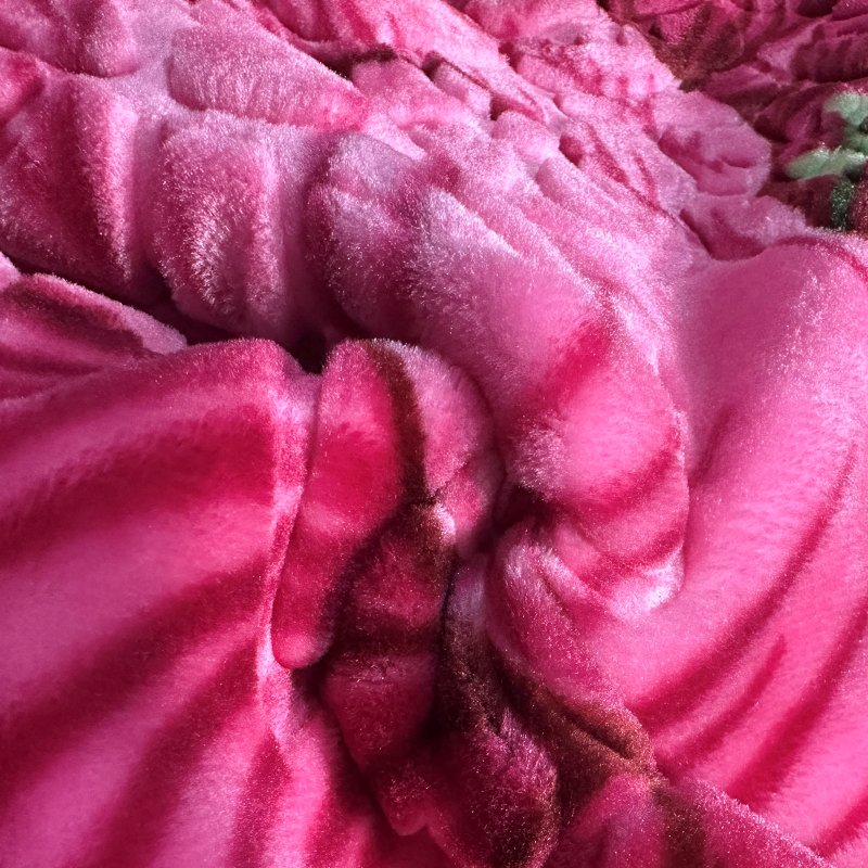 Wholesale Hot Sale Thick 100% Polyester Printing and Embossing Raschel Blanket Fabric for Winter