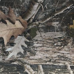 CAMO