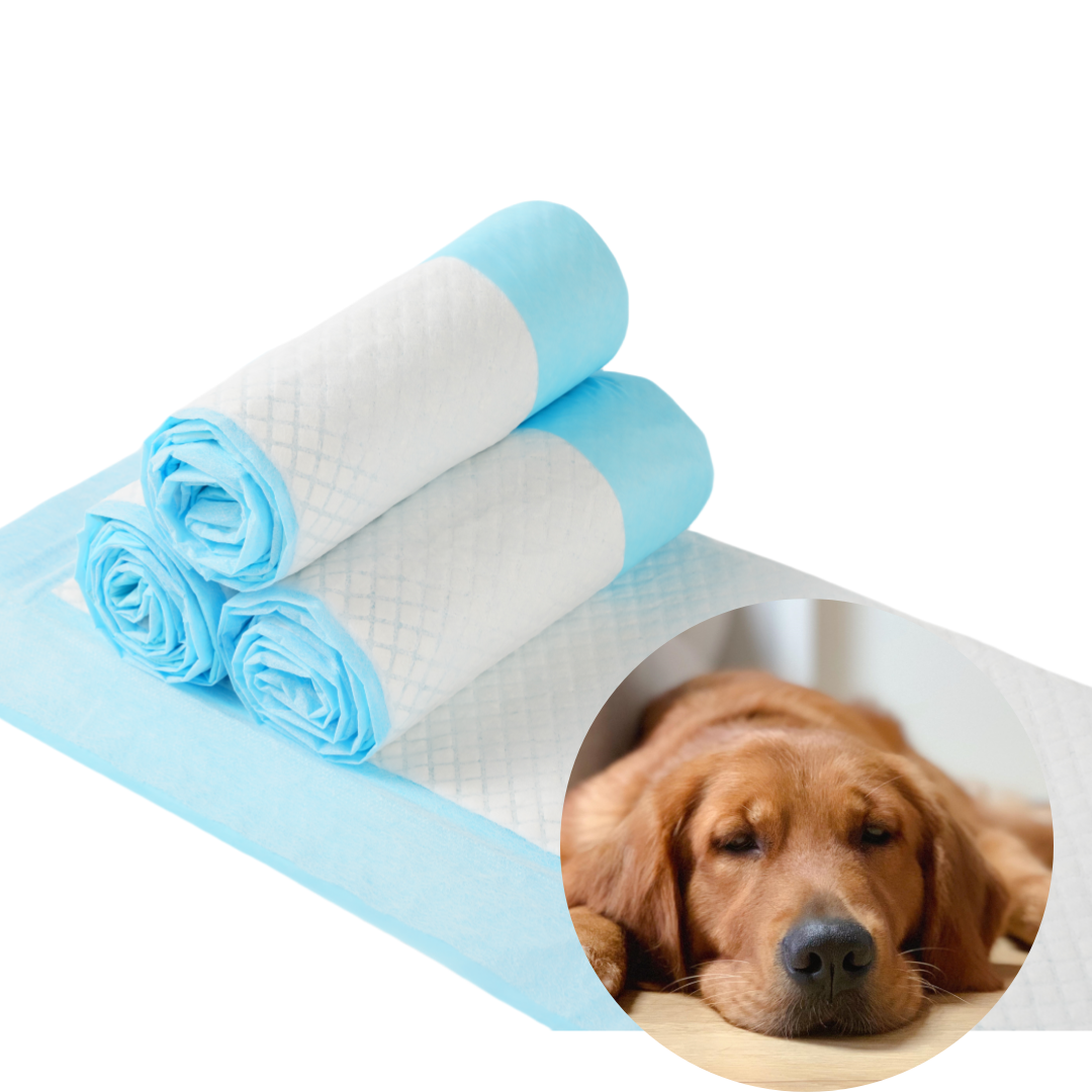 Disposable Pet Diapers Thick and Odorless Strong Water Absorption Training Pad
