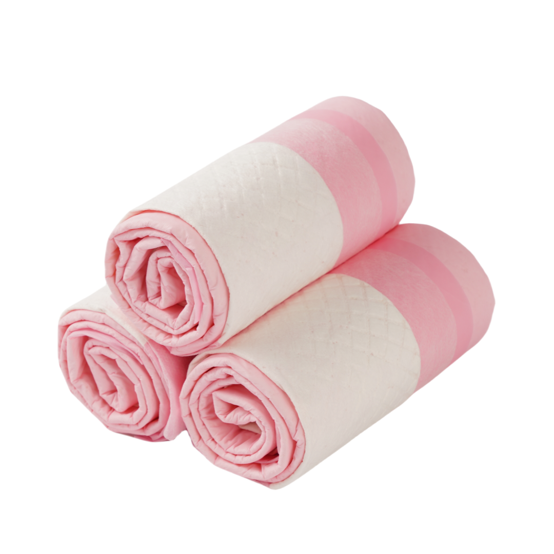 Disposable Pet Diapers Thick and Odorless Strong Water Absorption Training Pad