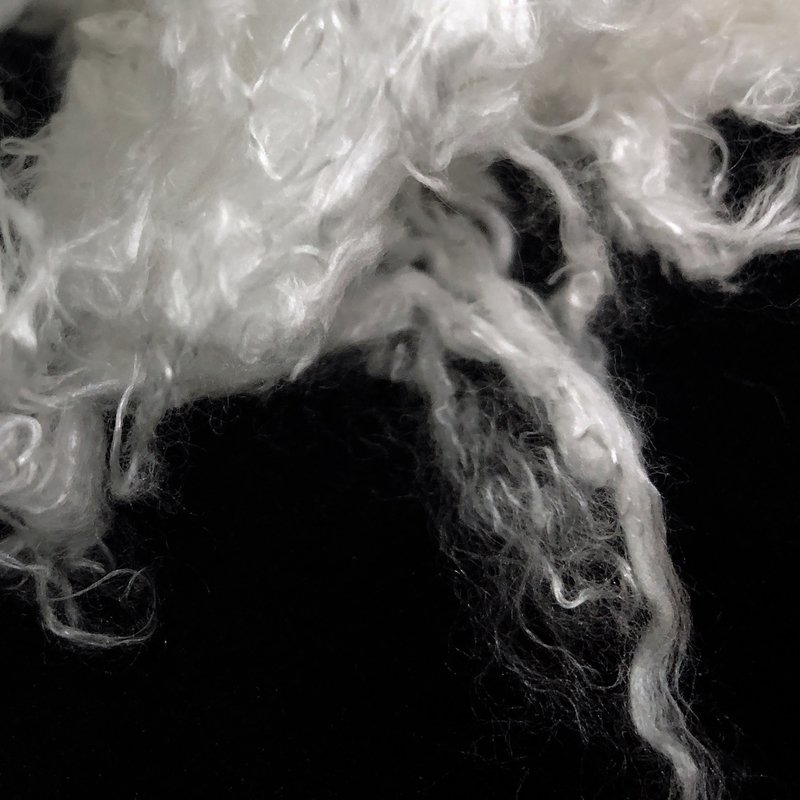 Bamboo Lyocell Fiber For Filling Cellulose Fiber Bamboo