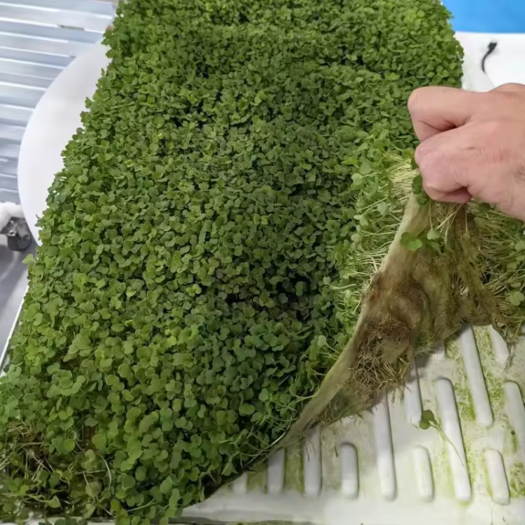 Big size Bamboo Fibers Hydroponic Growing Mats Grow Mat