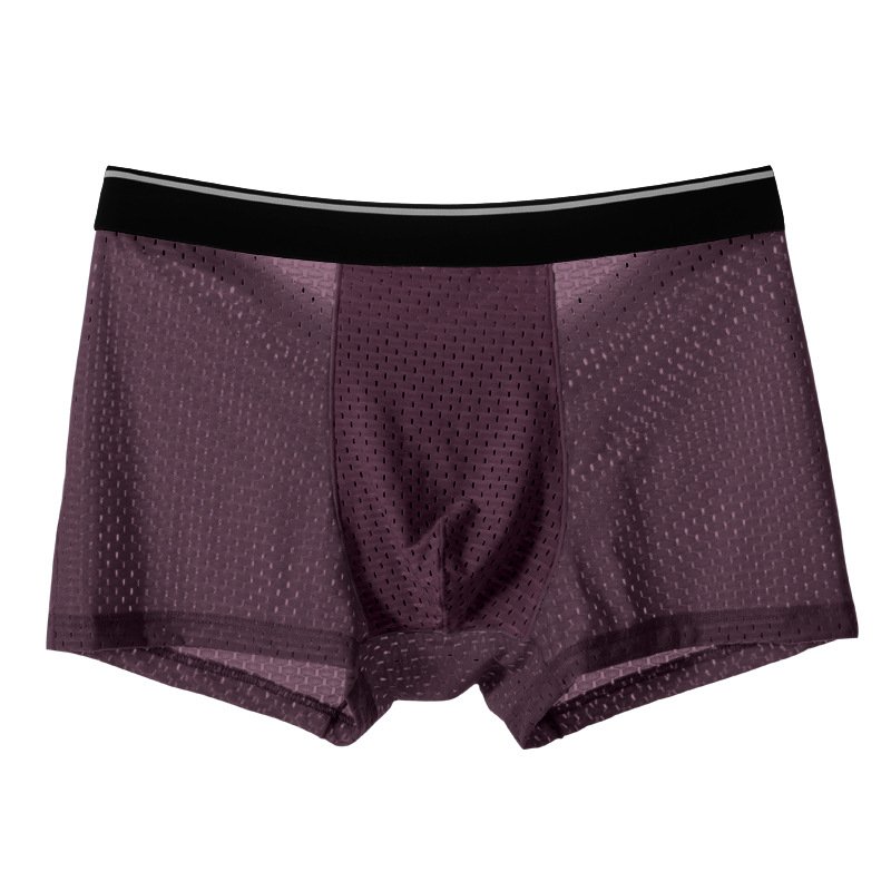 Thin Summer Men's Modal Boxers Ice Silk Bamboo Fiber Mesh Transparent Panties