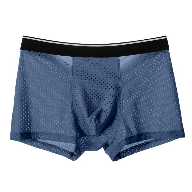Thin Summer Men's Modal Boxers Ice Silk Bamboo Fiber Mesh Transparent Panties