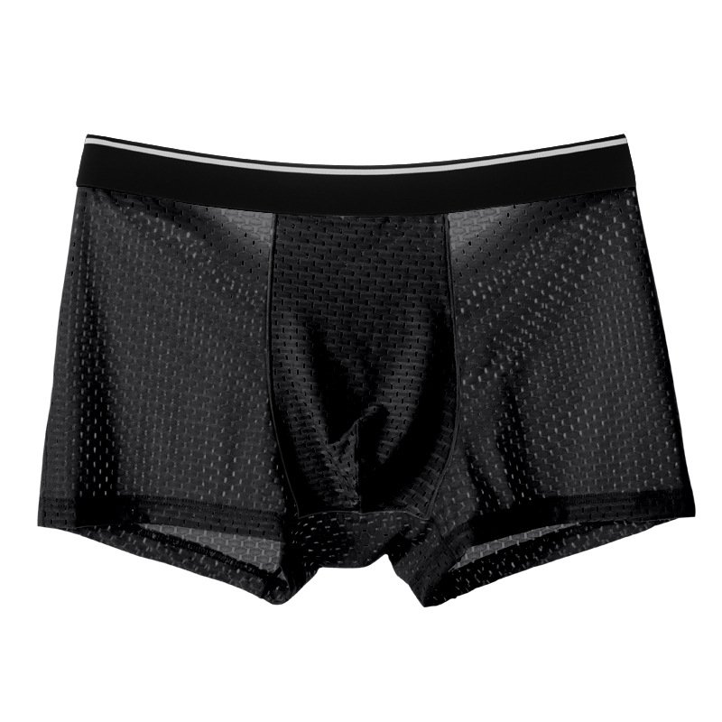 Thin Summer Men's Modal Boxers Ice Silk Bamboo Fiber Mesh Transparent Panties