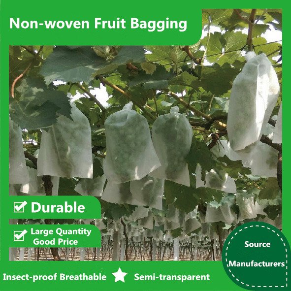 Eco-Friendly Custom White Non-Woven Fruit Cover Protection Bag UV Treated Biodegradable Plain Style for Grape Banana Mango Fruit