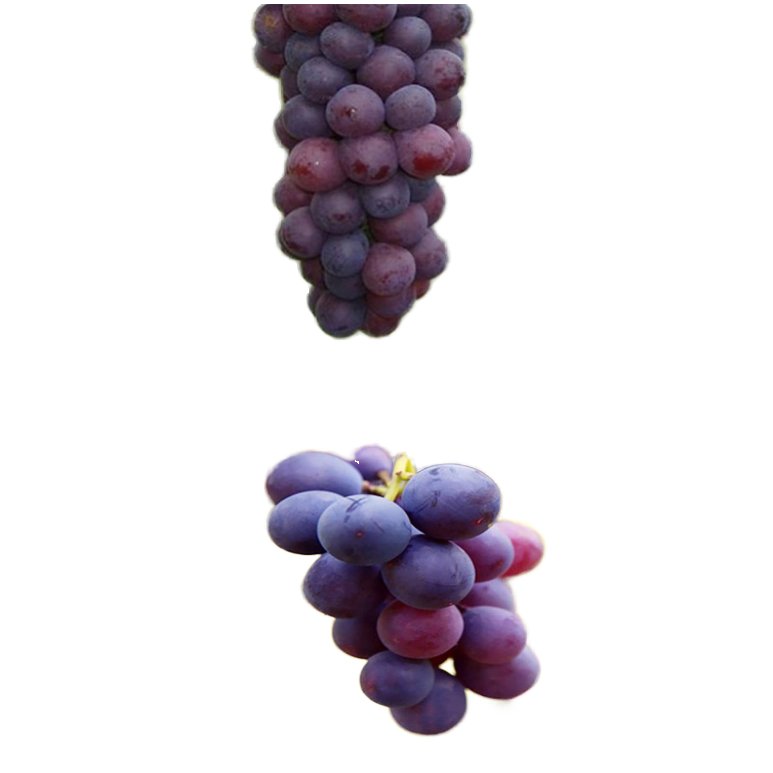 Eco-Friendly Custom White Non-Woven Fruit Cover Protection Bag UV Treated Biodegradable Plain Style for Grape Banana Mango Fruit