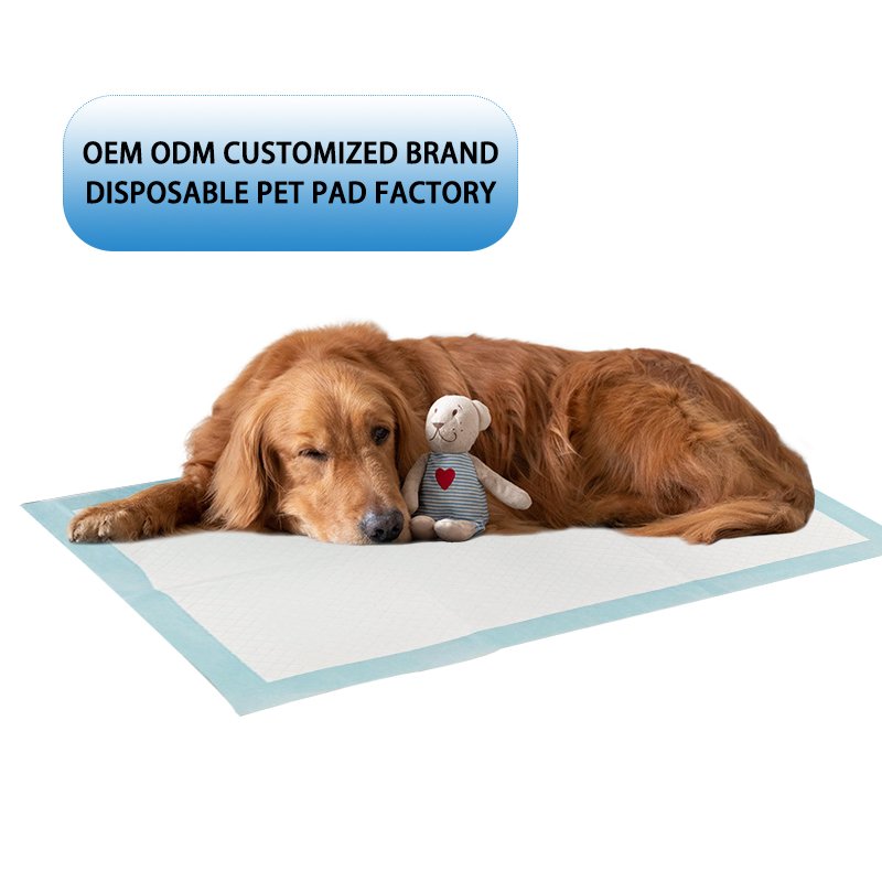 Wholesale Sustainable Quick Dry Training Pads Super Absorbent Odorless Bamboo Charcoal Fiber Puppy Pet Pee Pads Tissue Paper